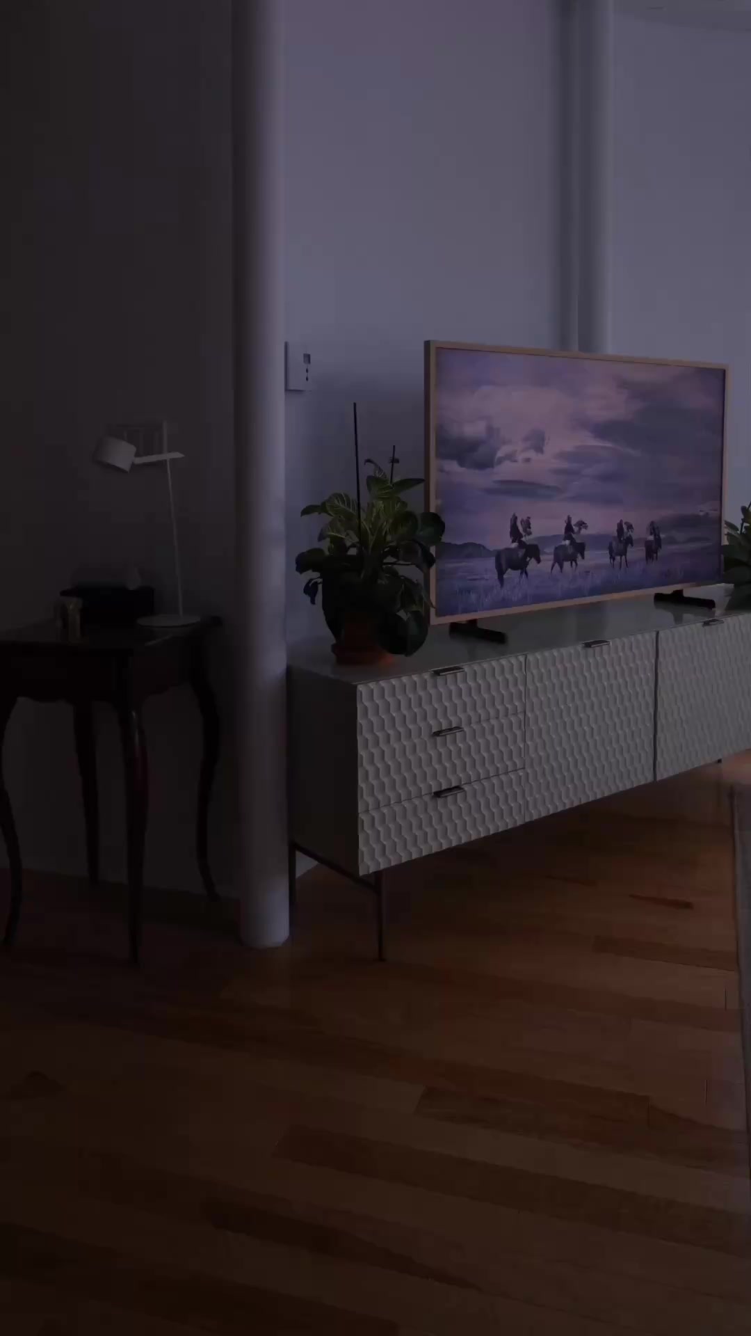 “Looks like a pro install. Sets up like a snap.”