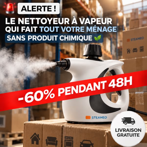 60 % PENDANT 48H + LIVRAISON GRATUITE