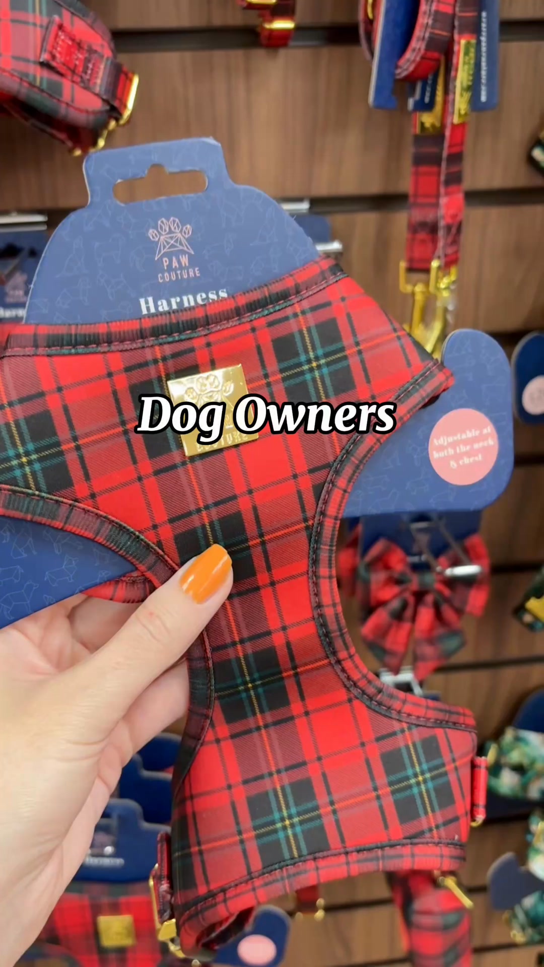 Affordable luxury for your four legged friend