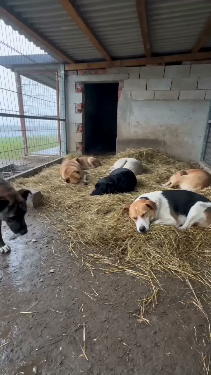 Małe rzeczy czasem wystarczą