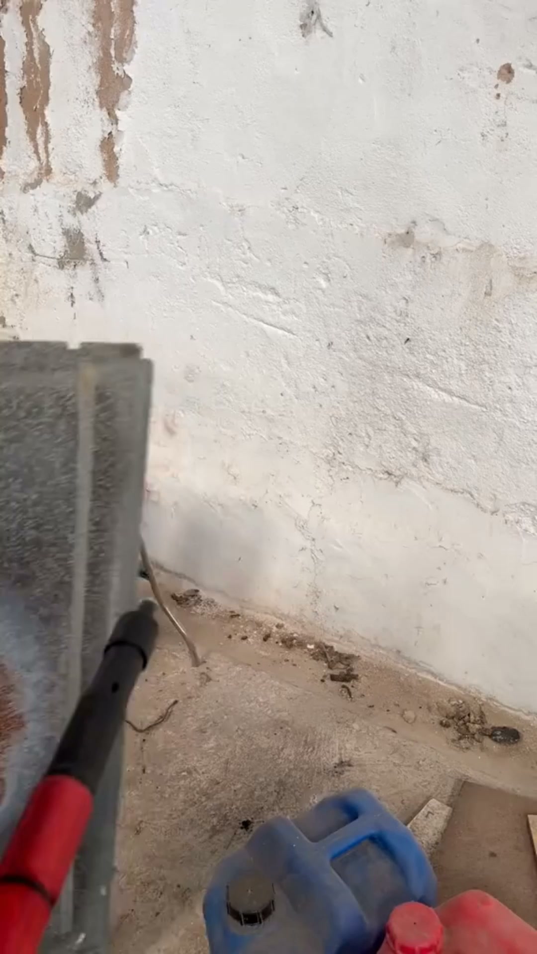 Envío gratis en 24h