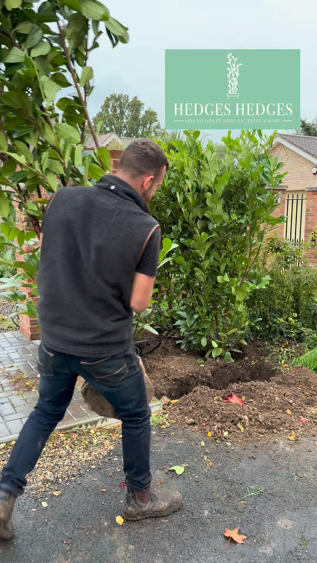 Premium Hedging Delivered Nationwide