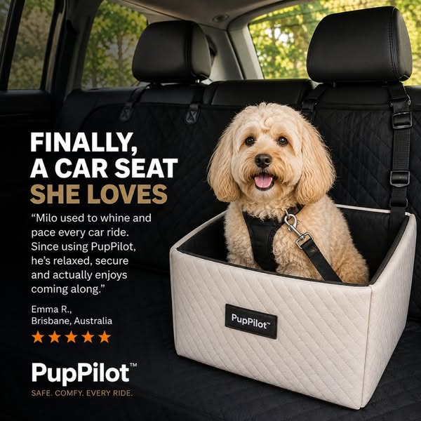 Every Dog Owner Needs One Of These