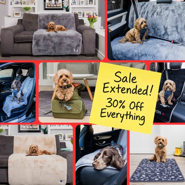 30% OFF
