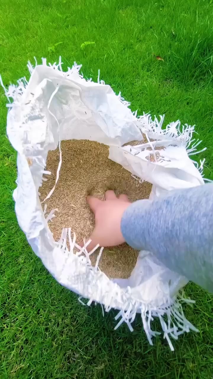 Turn Patchy Lawns Into Thick, Green Grass - Fast