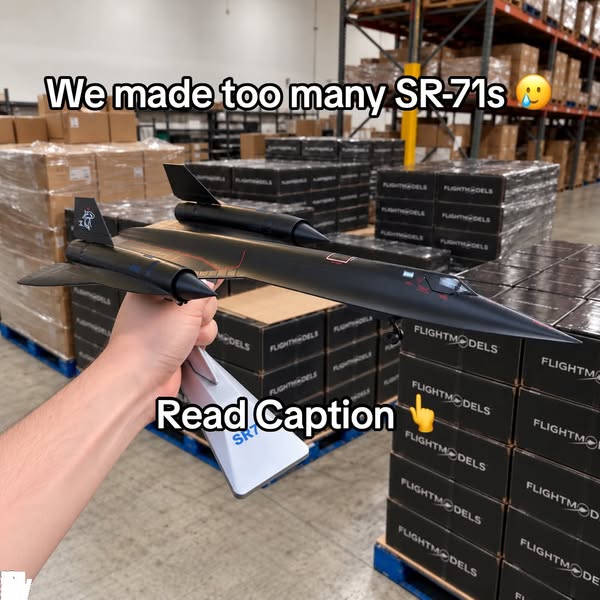 Free SR-71 Blackbird With Every Order
