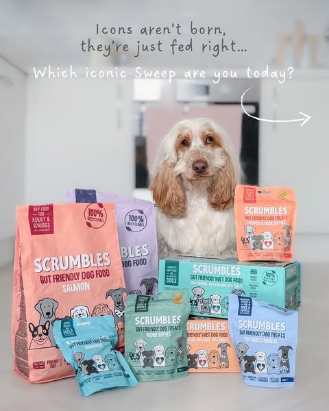 Gut-friendly Dog Food