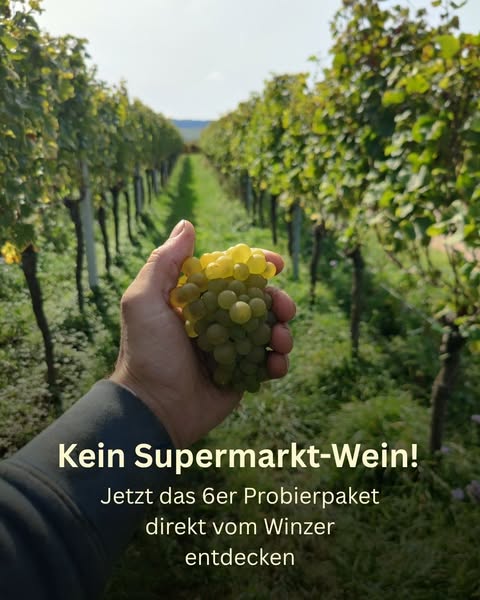 Schluss mit langweiligem Wein