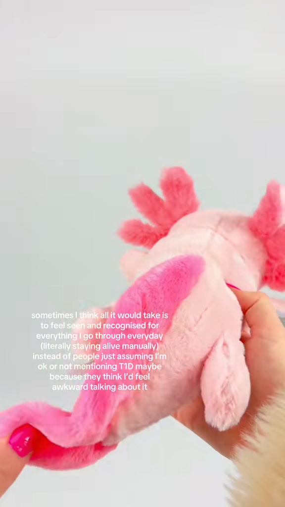 Cuddly T1D Toys with CGMs