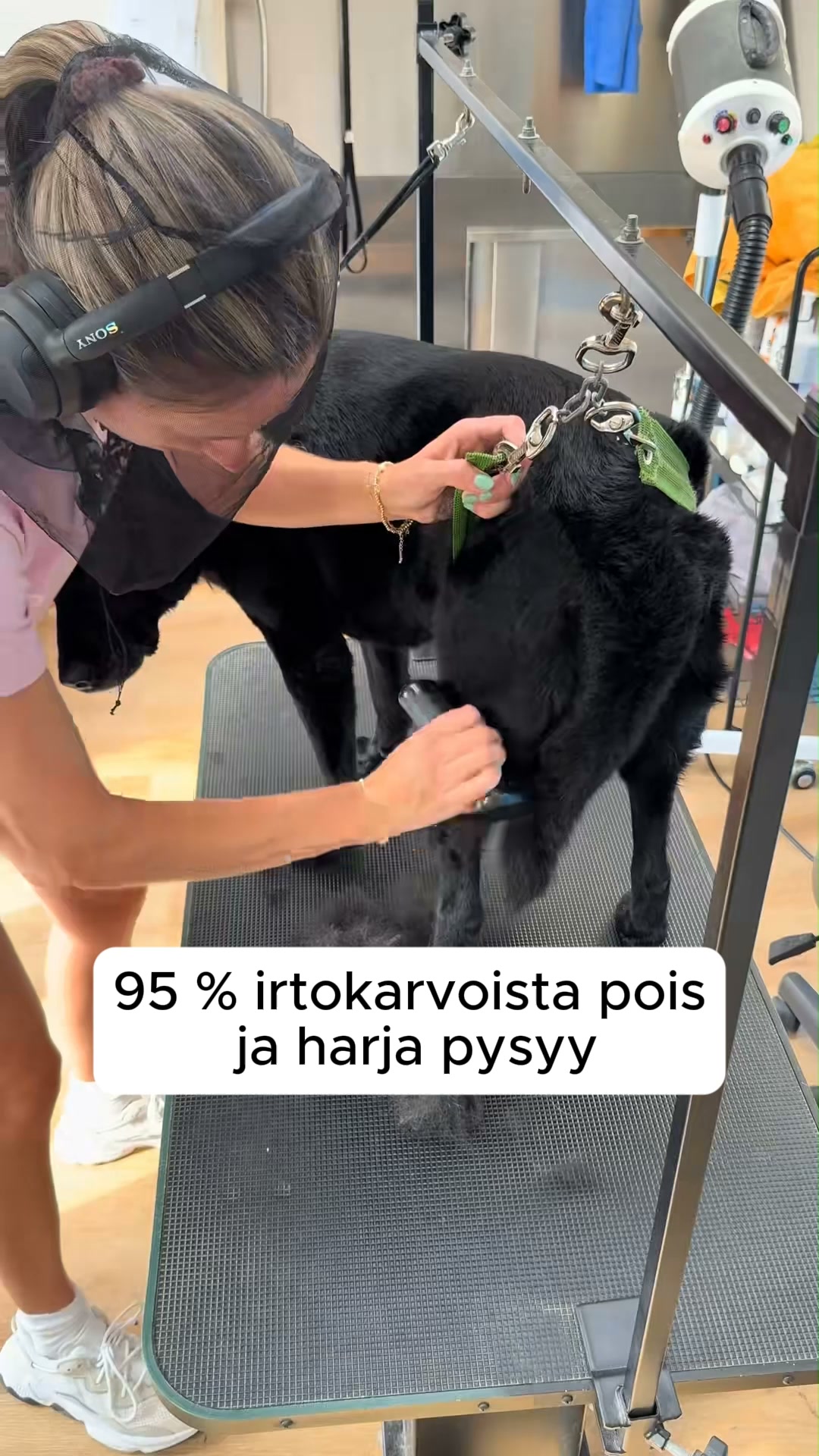 50 % alennus + ilmainen toimitus