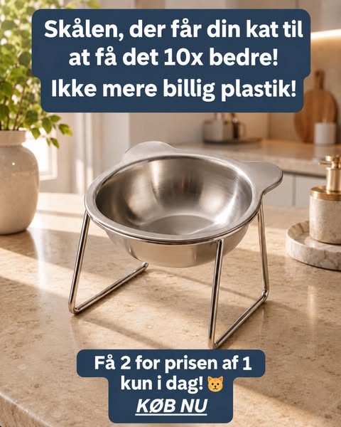 Smid plastikken ud. Opgrader spisetiden.