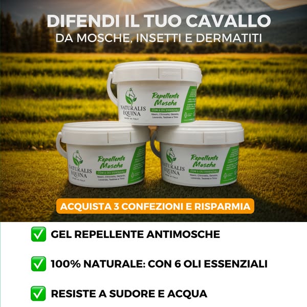 Gel anti-mosche (3pz)