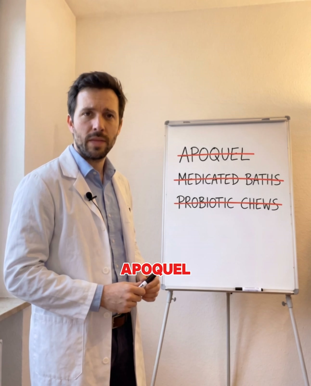 Dog Still Itching After Apoquel? Check the Gut.