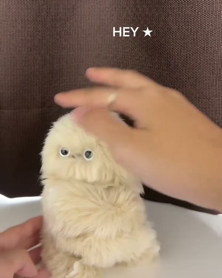 A Gift They’ll Carry Everywhere