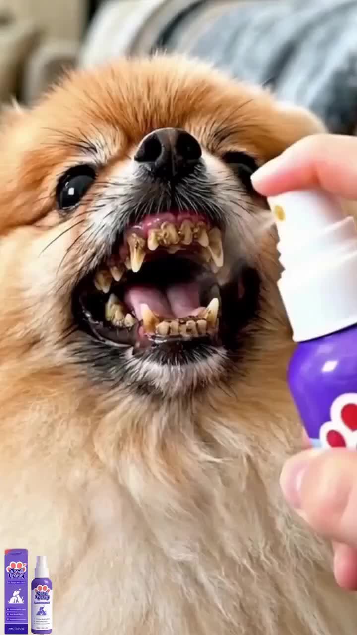 Haustier-Zahnsteinpflege-Spray