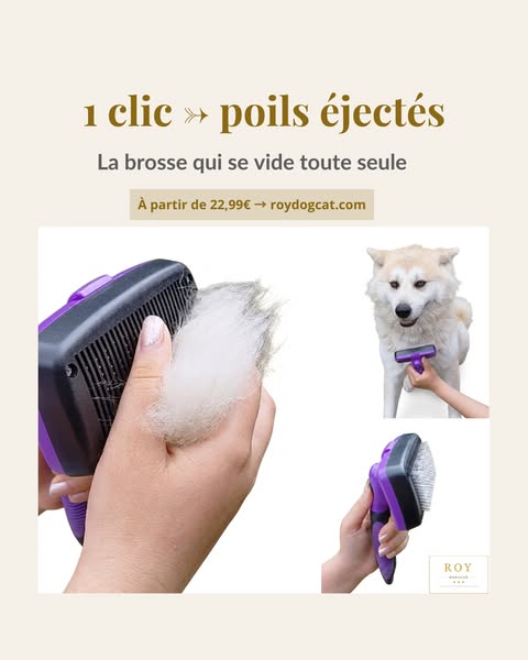 Brosse Autonettoyante — La Brosse qui se Vide Toute Seule