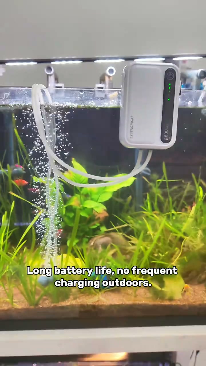 Rechargeable Portable Oxygen Pump