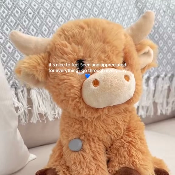 Free shipping on all T1D plushies