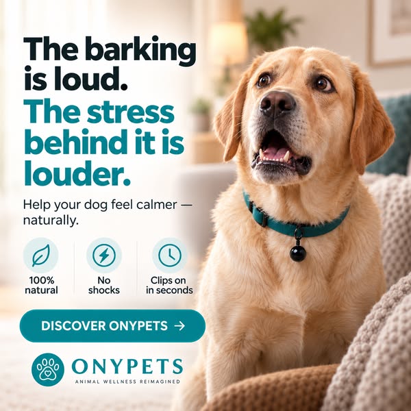 Gives your dog control over their emotions