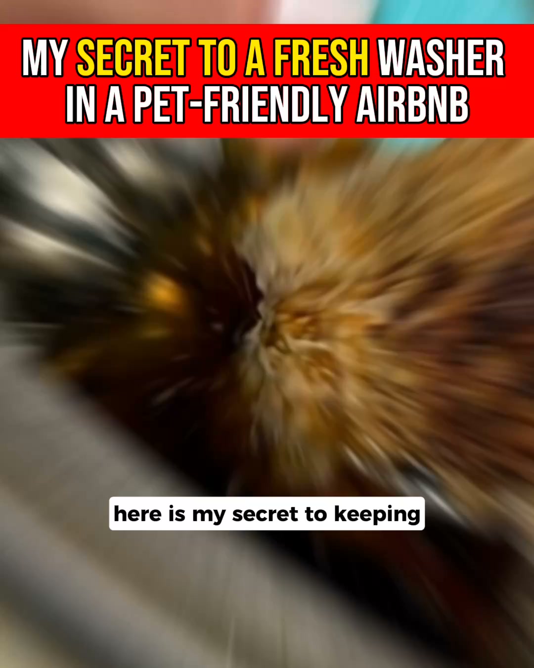 If your washing still smells "off" after cleaning your machine... this explains why