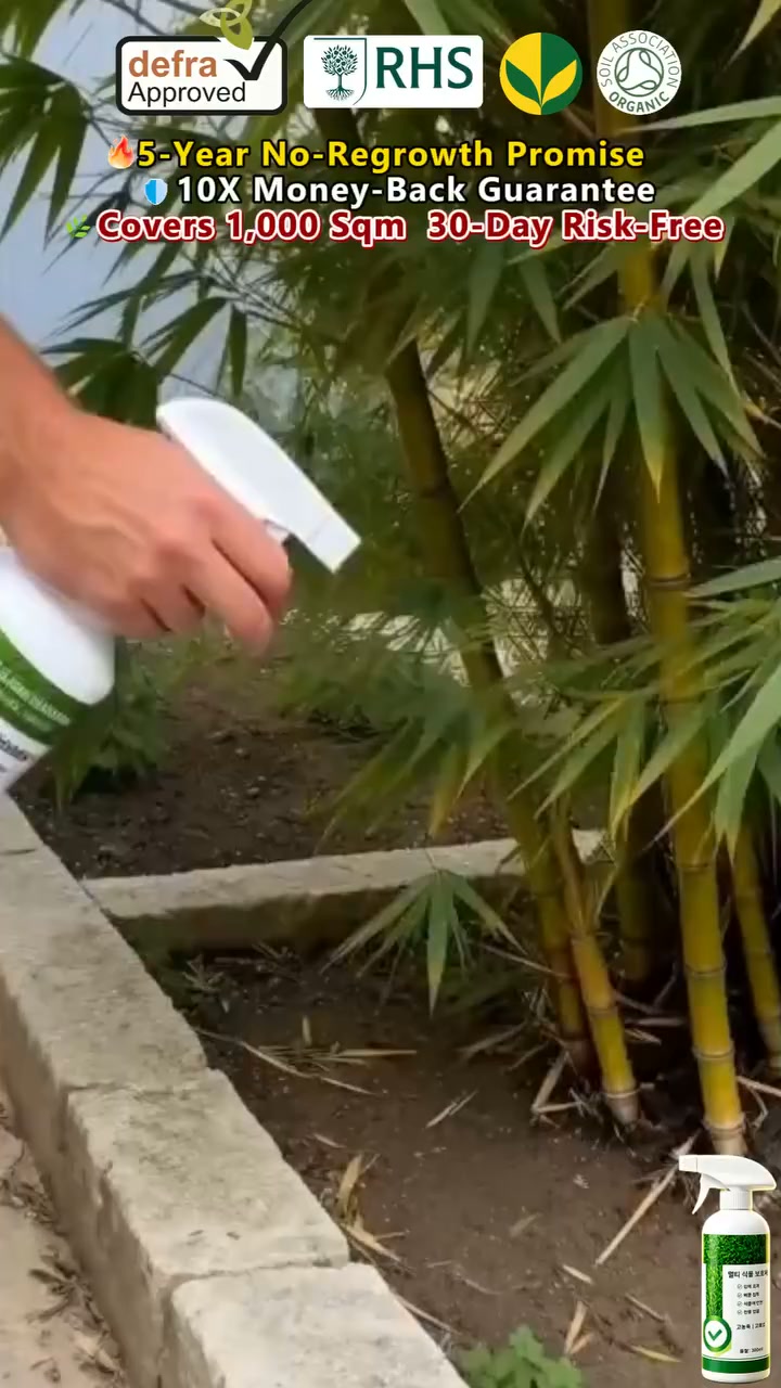 Anúncio de Rrinto-Bag