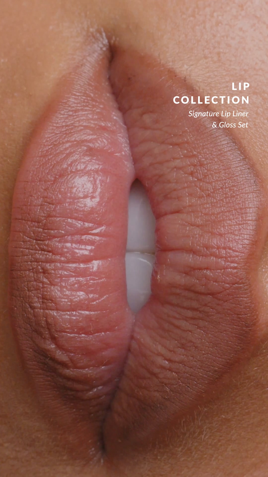 Lip Collection