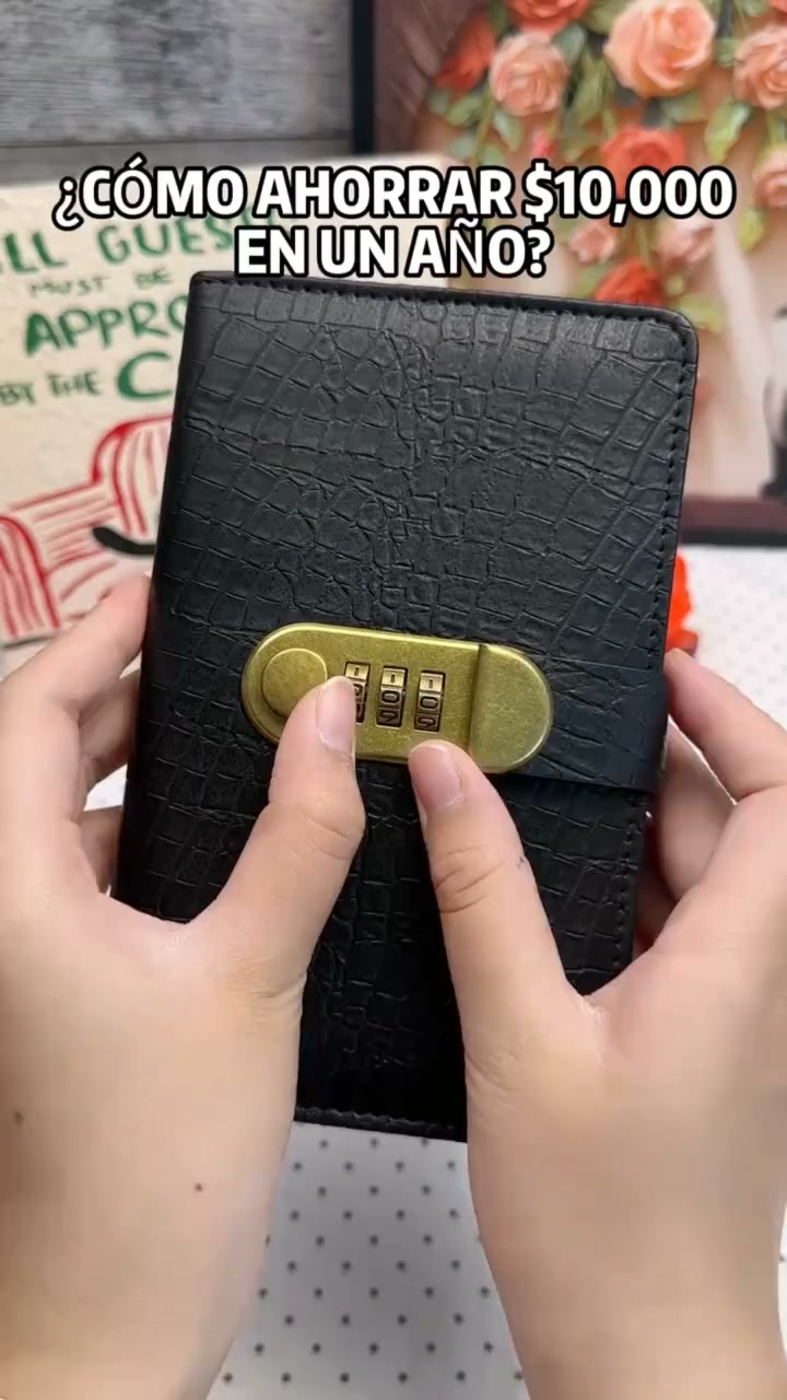 100 Transparent Pocket Currency Collectors Album