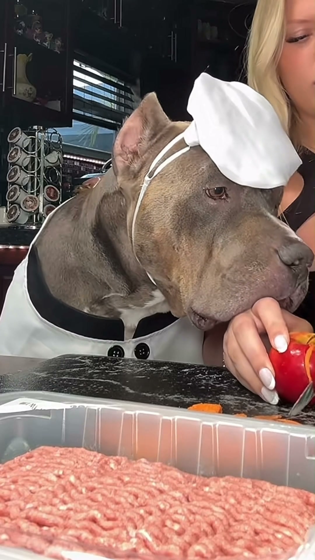 Fresh Dog Food in 20 Minutes