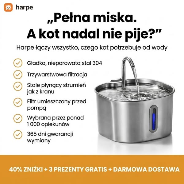 3 rzeczy, których kot potrzebuje od wody