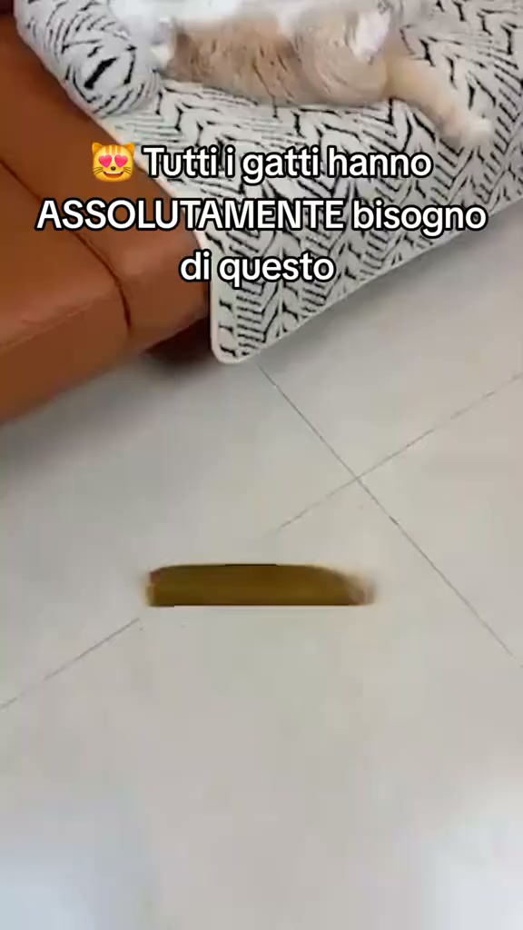 SPEDIZIONE GRATIS + OMAGGIO