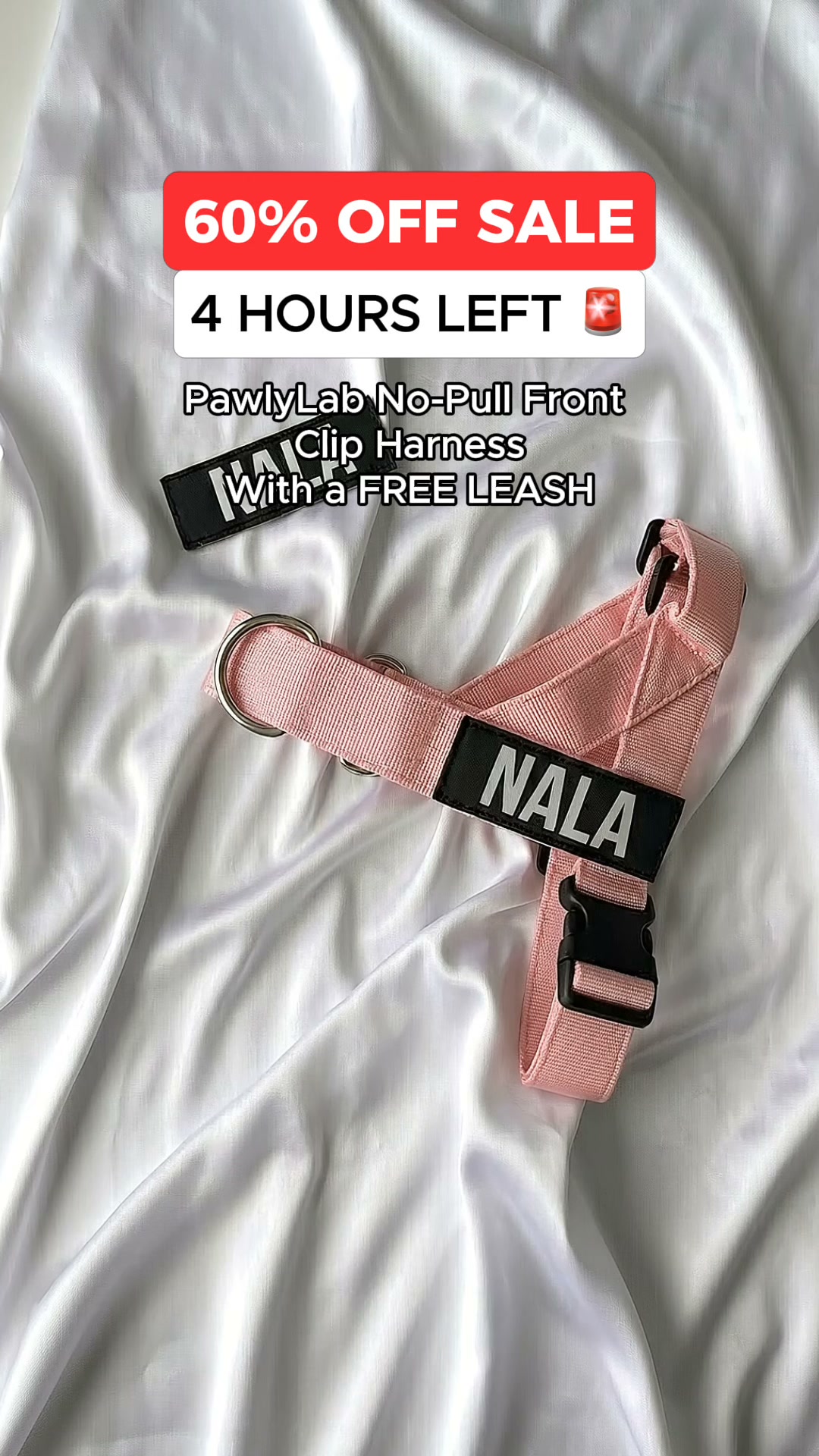 FREE LEASH TODAY