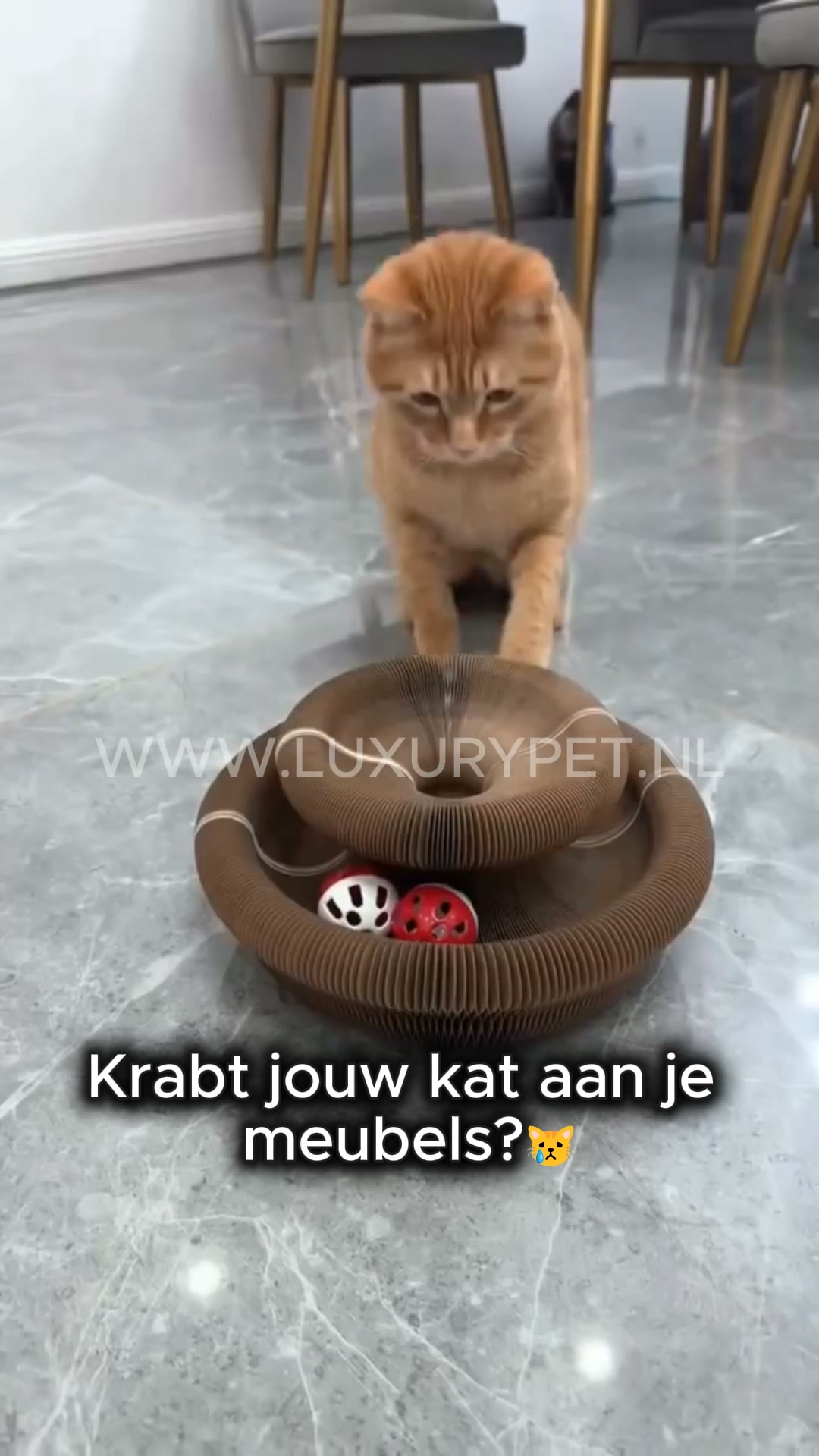 Bescherm je bank tegen kattenklauwen