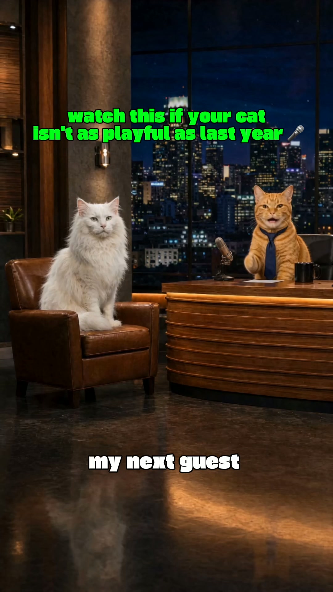 Every Test Came Back Normal. My Cat Was Dying Anyway.