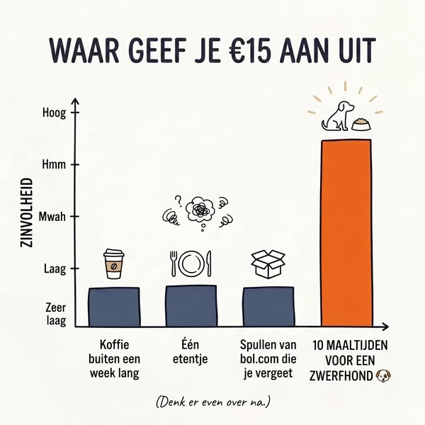 Jij koopt een armband. Jij voedt 10 honden.
