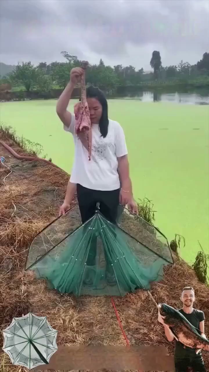 2026 HOT SALE50K+ SOLD! 50% OFF! Automatic Foldable Fish Trap – Thickened mesh, rust‑proof steel. Zipper opening for easy harvest.