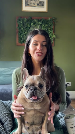 Itch-free dog or your money back.