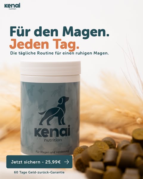 Für die normale Verdauung – jeden Tag
