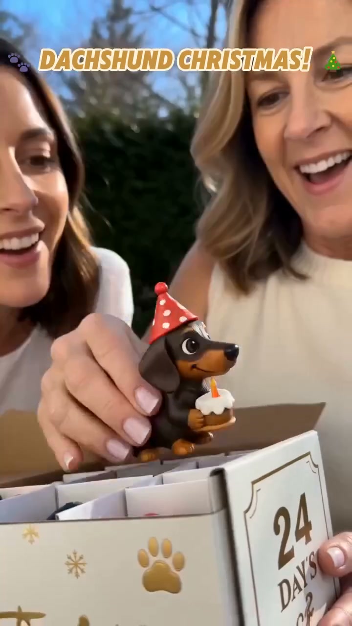 The Perfect Gift For Dog Lovers