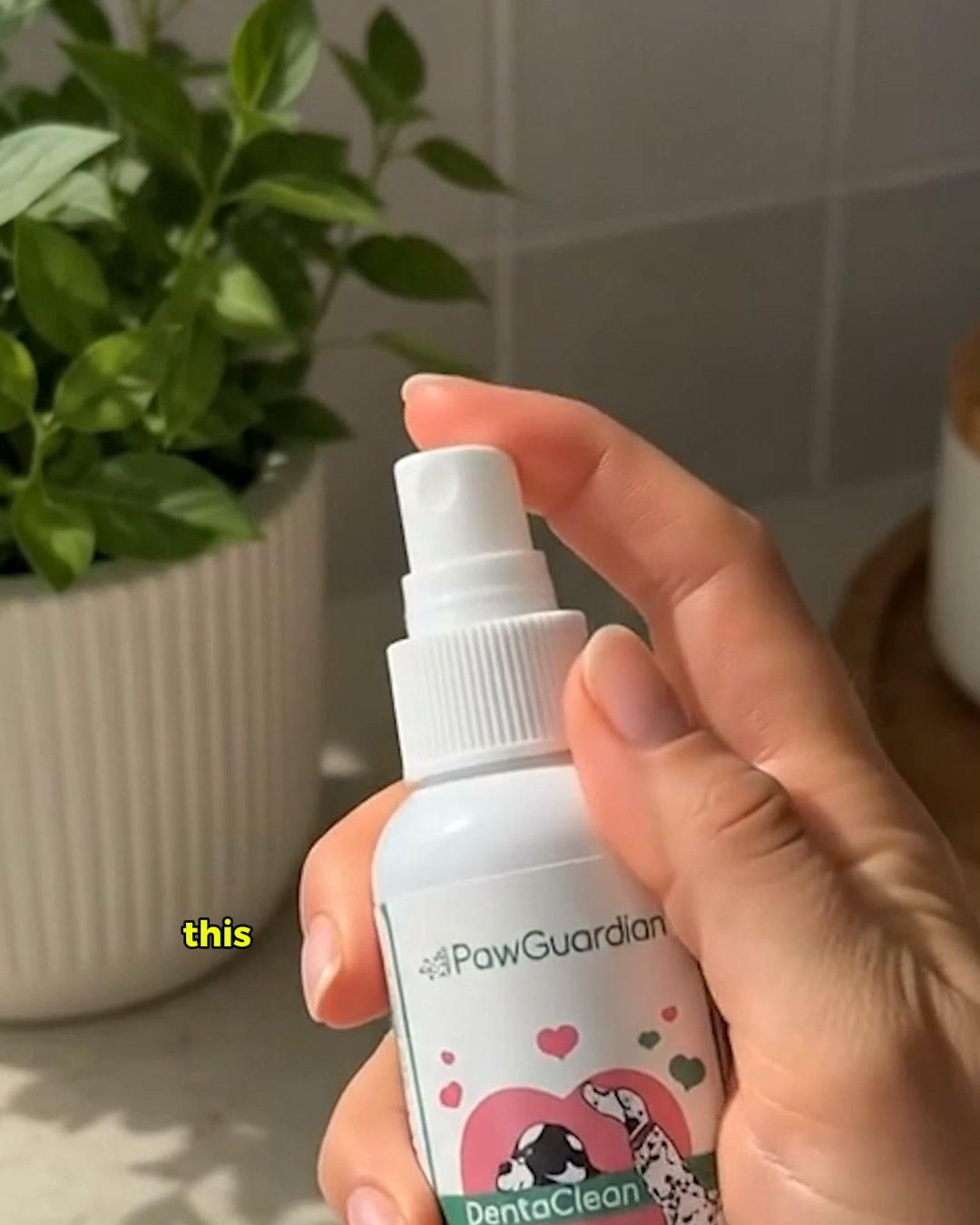 Your Dog’s Toothbrush Isn’t Reaching the Real Problem