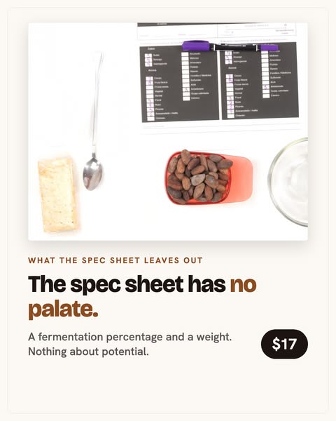 The Spec Sheet Has No Palate