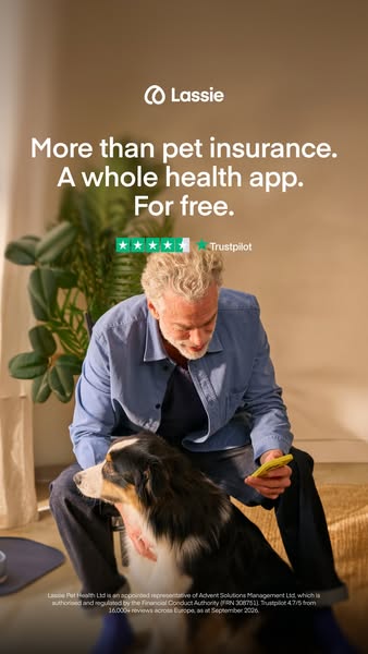 Insure your pet today
