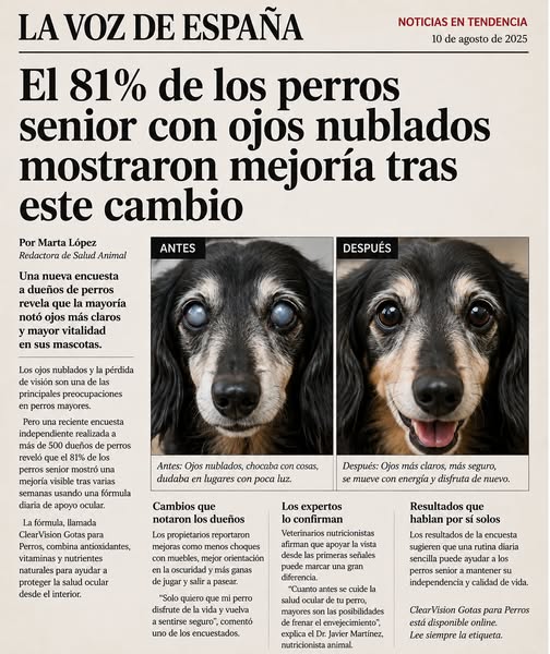 Cuida su vista