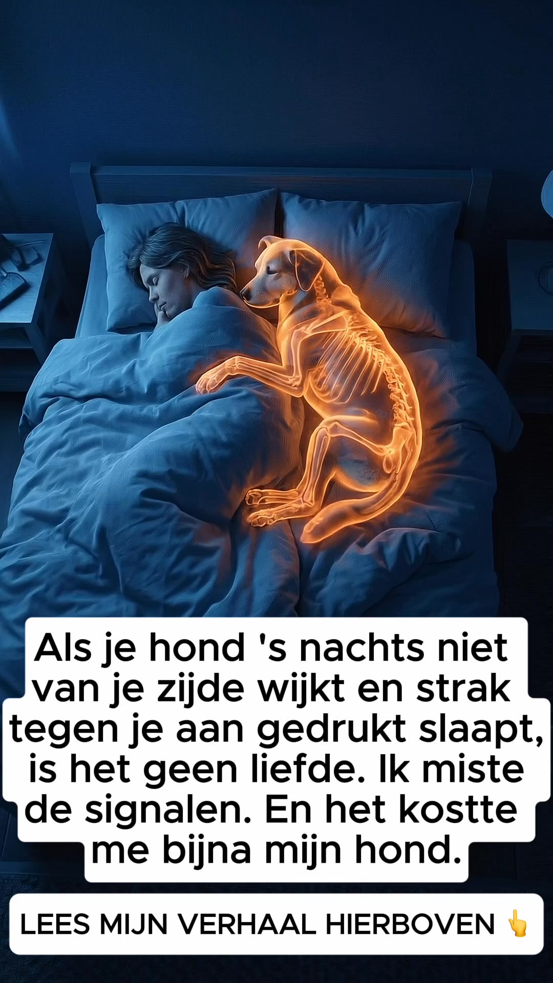 Jouw hond is niet oud — Ze heeft gewoon pijn