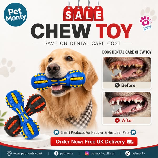 Helthy Teeths, Healtier you Pet