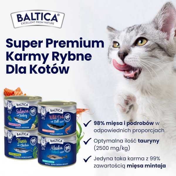 Karmy mokre dla kotów z rybą