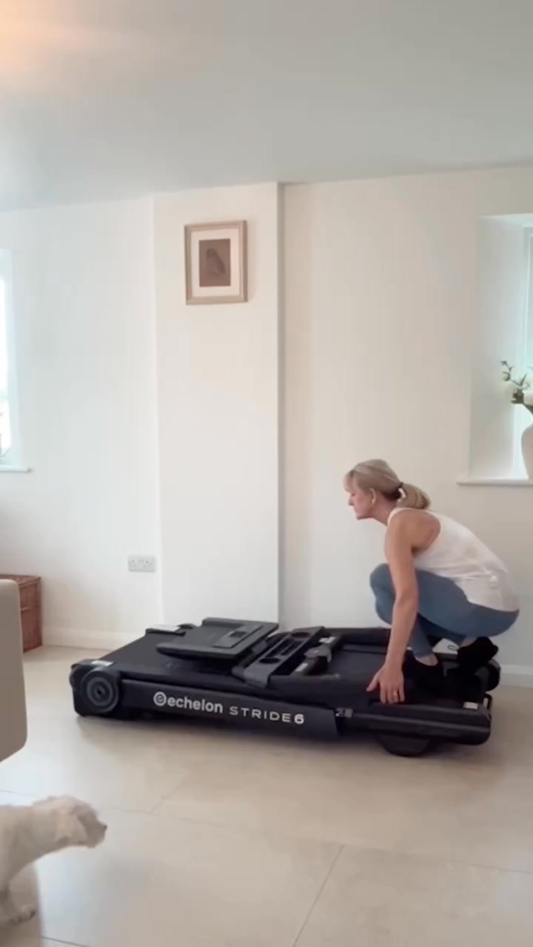 Echelon Stride-6 Auto-Fold Connected Treadmill