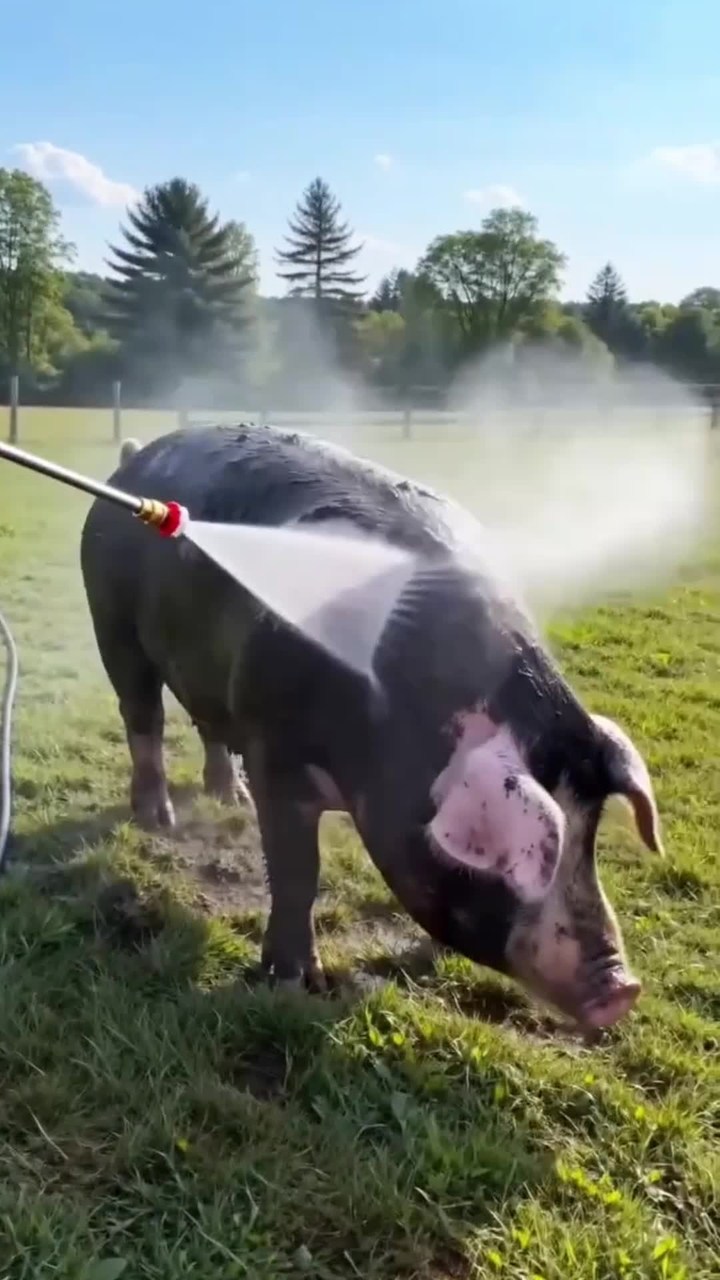 Garden Hose Nozzle High-Pressure Washer with 3 High-Pressure Nozzles
