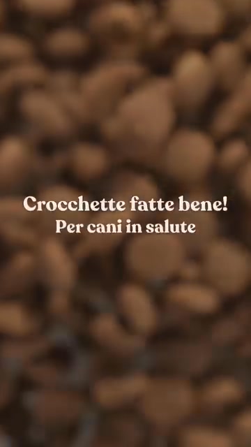 Scopri Perché Amusi È la Scelta di Qualità per il Tuo Cane!