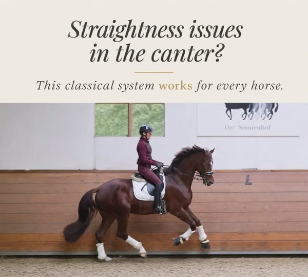 Fix Your Horse's Balance Issues Forever