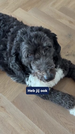 Top kwaliteit. Lange accu. 30 dagen om het zelf te ervaren!